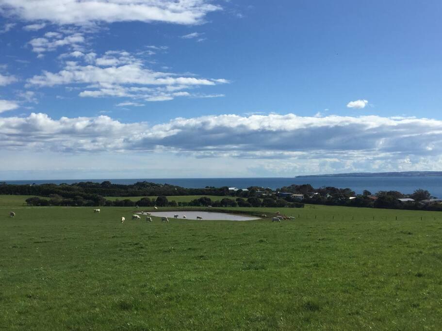 Yolo- Beach-house Views, Near Penguins, Nbn! Holiday home