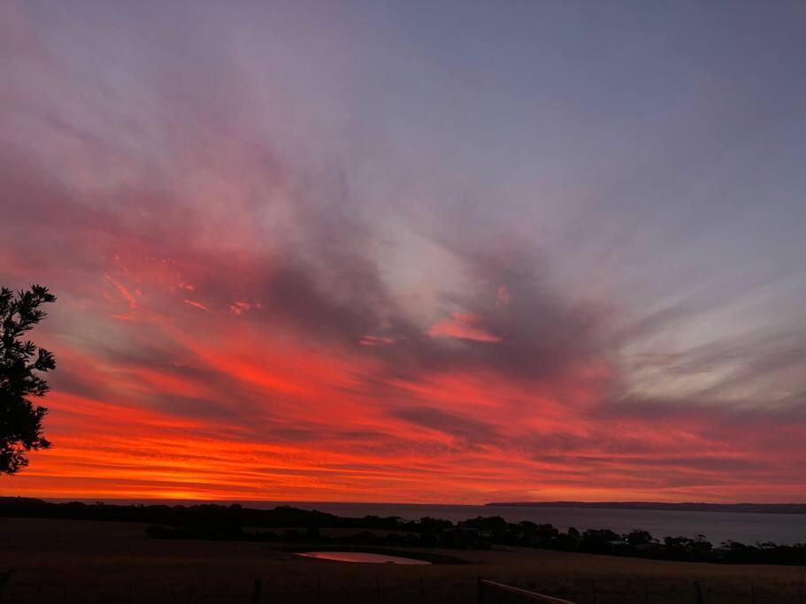 Yolo- Beach-house Views, Near Penguins, Nbn! *